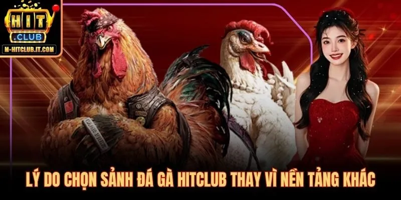 Trận đấu 100% thực tế và tỷ lệ kèo không bị can thiệp