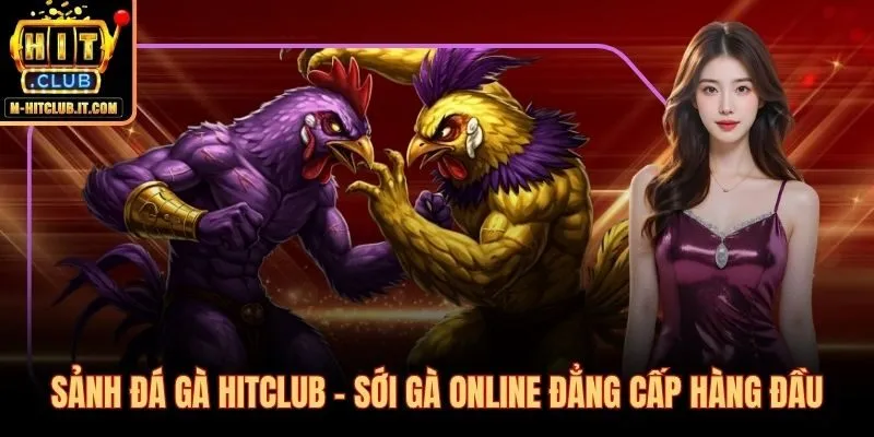 Đá gà Hitclub sới gà trực tiếp Thomo và Philippines đỉnh cao